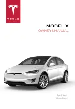 Tesla MODEL X 2019 Owner'S Manual preview