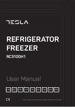 Предварительный просмотр 1 страницы Tesla RC3100H1 User Manual