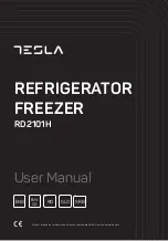 Tesla RD2101H User Manual preview