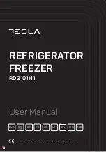 Tesla RD2101H1 User Manual предпросмотр