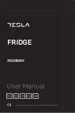 Tesla RS0906H User Manual preview