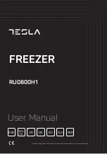 Tesla RU0800H1 User Manual preview