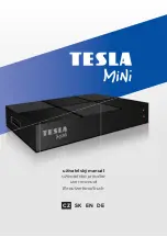 Preview for 1 page of Tesla TE-380 Mini User Manual