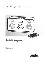 Preview for 1 page of Teufel iTeufel Magnum Technical Description And Operating Instructions