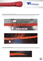 Предварительный просмотр 7 страницы TEUFELBERGER spLIFE Tachyon Manual