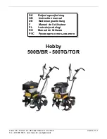 Texas Hobby 500B/BR Instruction Manual preview