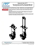 TFT Extend-A-Gun VP Instruction For Safe Installation, Operation, And Maintenance preview