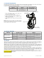 Preview for 15 page of TFT TORNADO RC Instructions For Installation, Safe Operation And Maintenance