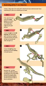 Preview for 3 page of Thames & Kosmos DIG IT! DINOS GIANT DINOSAUR SKELETON KIT Manual