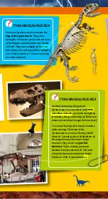 Preview for 7 page of Thames & Kosmos DIG IT! DINOS GIANT DINOSAUR SKELETON KIT Manual