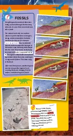 Preview for 8 page of Thames & Kosmos DIG IT! DINOS GIANT DINOSAUR SKELETON KIT Manual