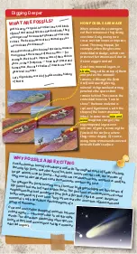 Preview for 4 page of Thames & Kosmos IGIGIT Fossils Manual