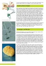 Preview for 44 page of Thames & Kosmos TK2 Scope Experiment Manual