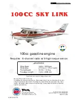 The World Models Manufacturing 100 CC SKY LINK Manual preview