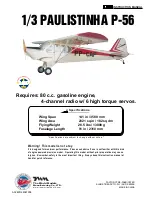 THE WORLD MODELS 1/3 PAULISTINHA P-56 Instruction Manual preview