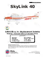 THE WORLD MODELS SkyLink 40 Instruction Manual preview