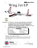 THE WORLD MODELS Wing Jet EP Instruction Manual preview