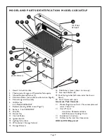 Preview for 11 page of Thermador CG848FSZLP Care & Use Manual