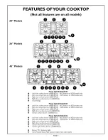 Preview for 5 page of Thermador STEEL GAS STAR SGS304 Care And Use Manual