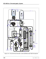 Предварительный просмотр 46 страницы Thermo Scientific Dionex ICS-2000 Operator'S Manual