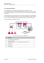 Preview for 236 page of Thermo Scientific Dionex UltiMate 3000 Series Operating Instructions Manual