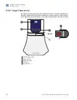 Preview for 10 page of Thermo Scientific E-Gel 4466611 User Manual