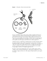 Preview for 13 page of Thermo Scientific HESI-II Probe User Manual