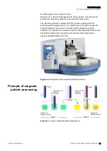 Preview for 17 page of Thermo Scientific KingFisher Flex User Manual