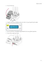 Предварительный просмотр 31 страницы Thermo Scientific PrintMate A79510100 Operator'S Manual