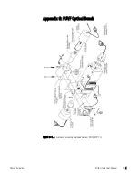 Предварительный просмотр 159 страницы Thermo Scientific SOLA II Flare User Manual