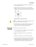 Предварительный просмотр 135 страницы Thermo Scientific SOLA II User Manual