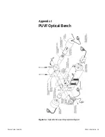 Предварительный просмотр 187 страницы Thermo Scientific SOLA II User Manual