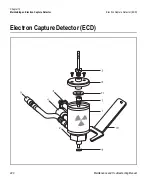 Preview for 220 page of Thermo Scientific TRACE GC Ultra Maintenance And Troubleshooting Manual