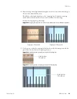 Предварительный просмотр 187 страницы ThermoFisher Scientific DXR xi User Manual