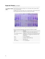 Preview for 60 page of ThermoFisher Scientific E-PAGE Gels Technical Manual