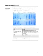 Preview for 61 page of ThermoFisher Scientific E-PAGE Gels Technical Manual