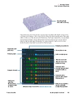 Предварительный просмотр 103 страницы ThermoFisher Scientific NanoDrop Eight User Manual