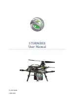 Think 3D STORMBEE S20 User Manual preview