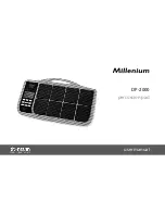 thomann Millenium DP-2000 User Manual preview