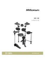 thomann Millenium HD-100 User Manual preview