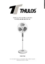 Thulos TH-FN45 Instruction Manual preview