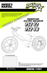 Thumpstar TSE12 Owner'S Manual preview