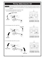 Preview for 50 page of THUNDER TIGER RAPTOR SE Manual