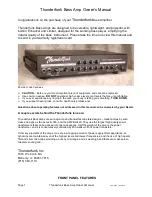 Preview for 3 page of Thunderfunk Bass amplifier Owner'S Manual