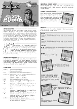 Tiger Hollywood Hogan 80-605 Manual preview