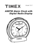 Timex T317 User Manual preview