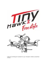 TINY Hawk II Freestyle Instruction Manual preview