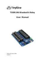 Tinysine TOSR196 User Manual preview