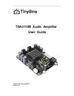 Предварительный просмотр 1 страницы Tinysine TSA3118B User Manual