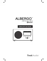 Tivoli Audio Albergo Owner'S Manual preview